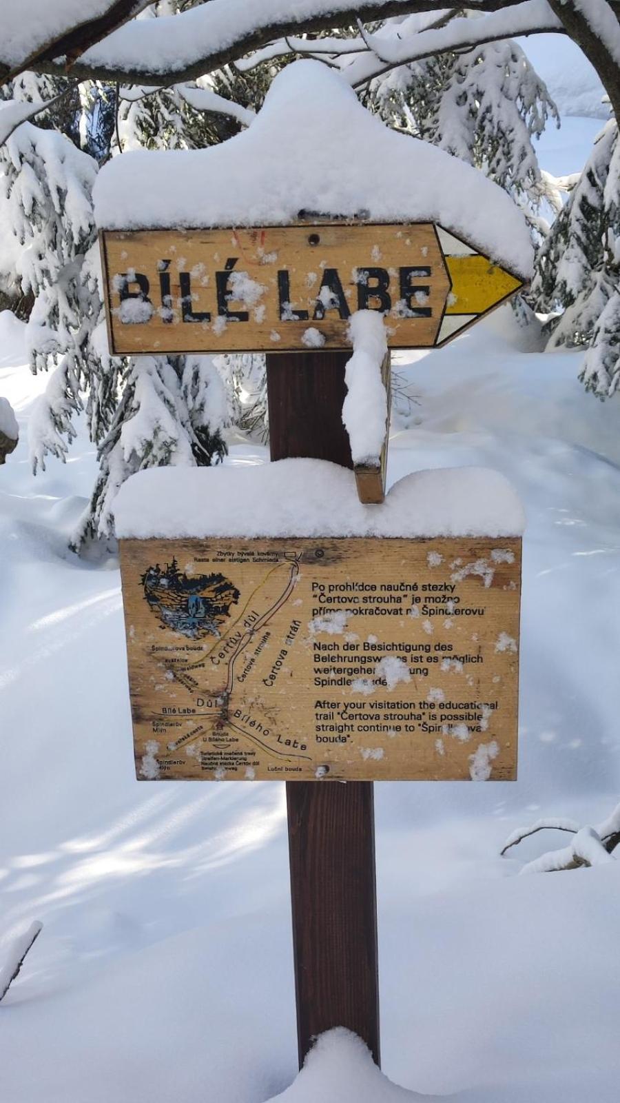 Bouda Bile Labe Hotel Špindlerŭv Mlýn Exterior foto