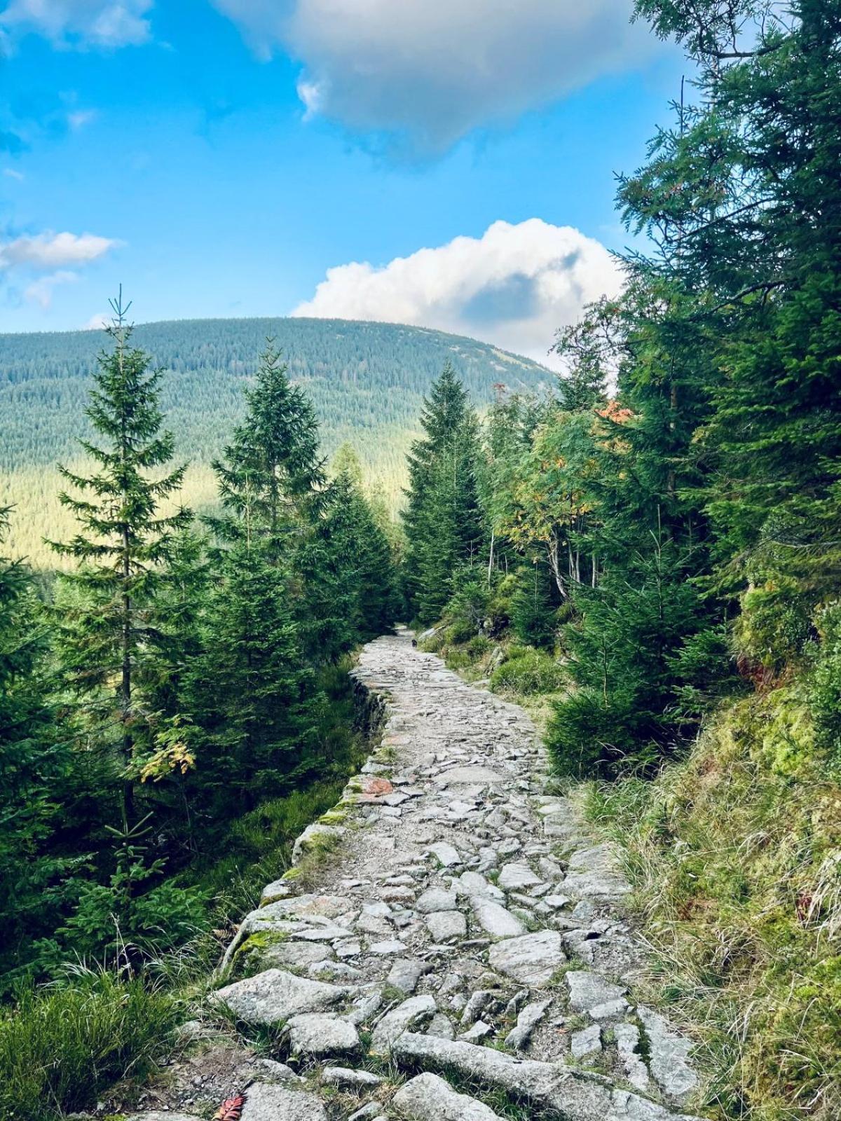 Bouda Bile Labe Hotel Špindlerŭv Mlýn Exterior foto